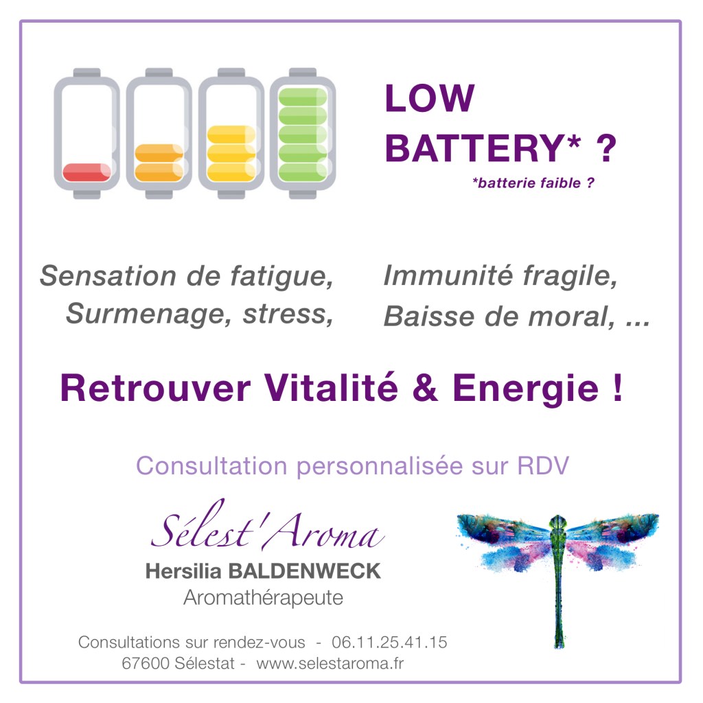 Manque de tonus, vitalité, énergie.
sensation de fatigue, immunité fragile, baisse de moral, ... 
