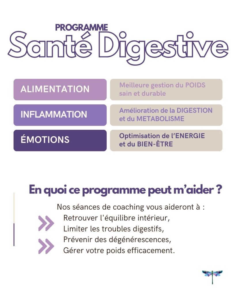 Santé digestive programme
conseils nutritionnels 
amélioration troubles digestifs
métabolisme, gestions du poids 
gestion des émotions 
fiches recettes - astuces nutritionnels
